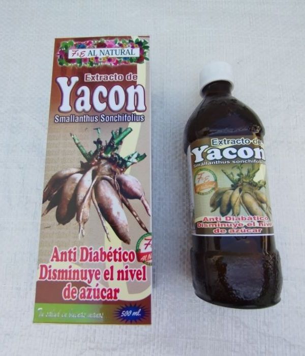 Tienda pro nubefan Diet Dani 2511241601 Yacón x 500 ml – Al Natural - Imagen 1